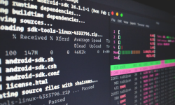 Featured image of post Kernel mishaps on the network stack