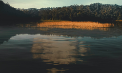 Featured image of post Install Nextcloud with Apache2 on Debian 10